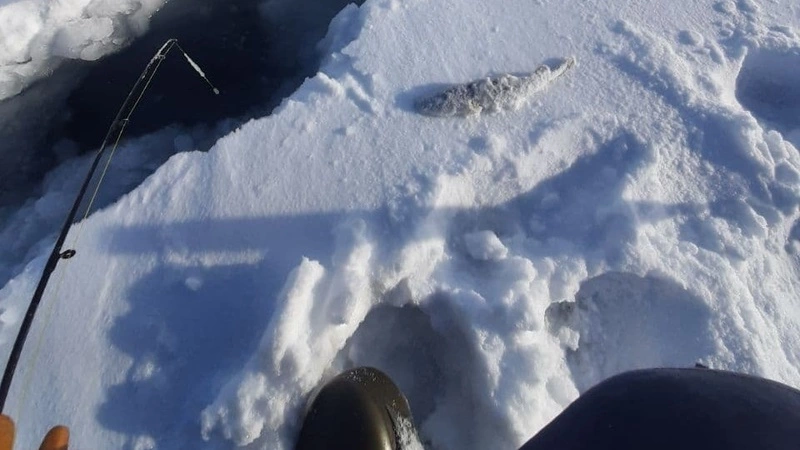 «Мамонтята оттаяли»: на Сахалине восемь рыбаков уносит на льдине в открытое море