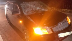 Пешеход пострадал в ДТП с Toyota Fielder на трассе в Анивском районе 8 октября