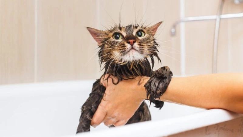 Авария на водопроводе оставит десятки улиц Южно-Сахалинска без воды на всю ночь