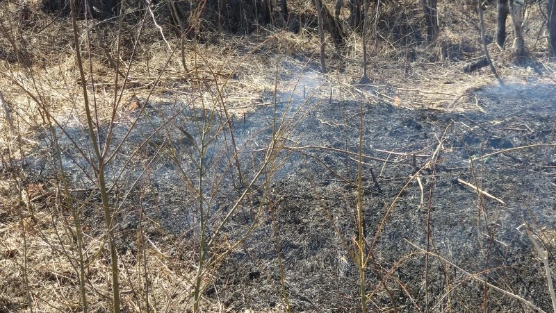 Сухая трава вспыхнула в центре Сахалина
