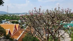 Сахалинцы на новогодние праздники стали чаще летать во Вьетнам, Гонконг и Индию