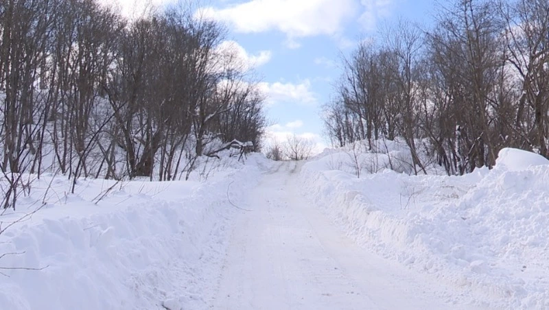 Специалисты проверяют склоны на сход лавин - Центр внимания 09.02.26
