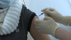 За 10 дней создадут вакцину против омикрон-штамма коронавируса в России