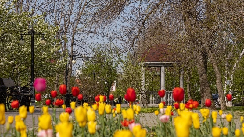 Сахалинцы стремятся жить лучше — общественники про топ-10 рейтинга АСИ