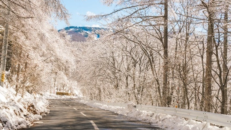 Ураганный ветер и снег будут на Сахалине и Курилах 29 октября