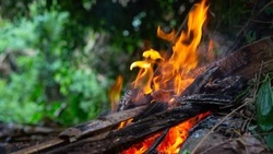 В МЧС по Сахалинской области предупредили о высокой пожарной опасности в Смирных