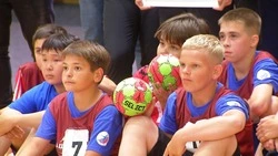 На Сахалине станет больше участников проекта «Гандбол в школу»