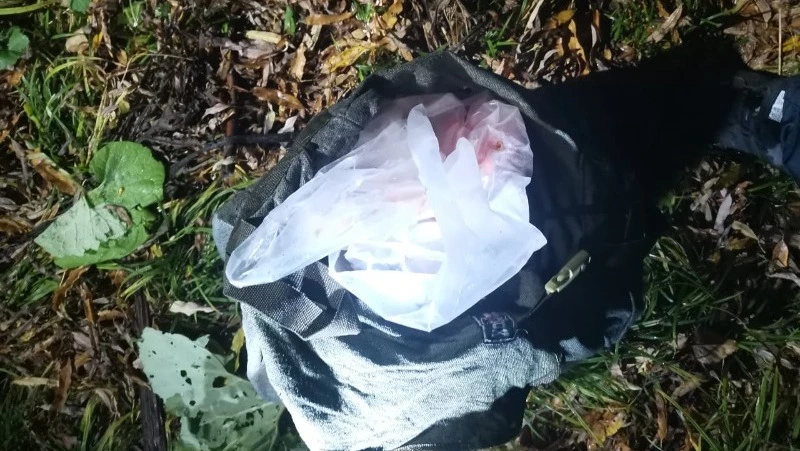 Мужчины напороли более 25 кг красной икры из самок лосося на Курилах