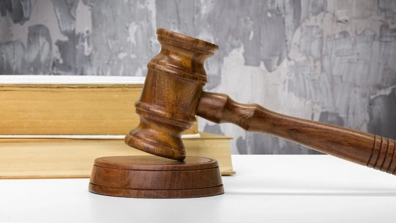 Хозяйку укусившей ребенка собаки на Курилах освободили от штрафа