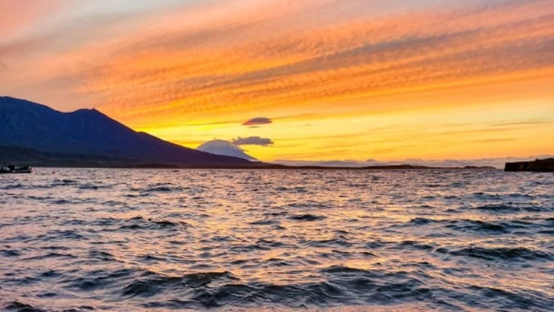 Фотографии дикой природы острова Шумшу удивили жителей Сахалина