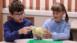 Занятия для юных биологов и зоологов стартовали в зоопарке на Сахалине