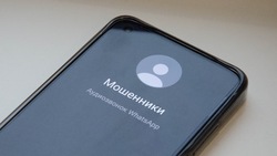 ГД приняла в I чтении законопроект о защите россиян от мошенников