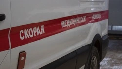 В Кузбассе врачи собирали по частям 6-летнюю девочку после страшного ДТП