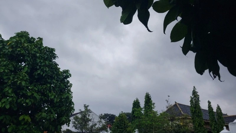 Синоптики уточнили прогноз погоды в Сахалинской области на 13 июля 