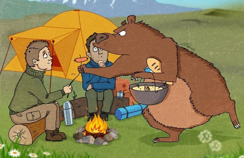 Не кормите медведей