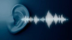 «Сначала подумали, что мусор»: матрос «Ангела» рассказал о спасении Михаила Пичугина в Охотском море