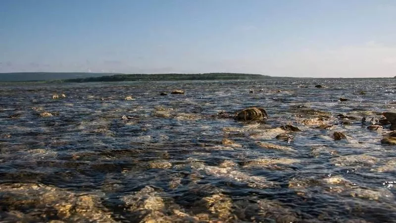 С жителями Кунашира обсудят развитие туристического кластера «Южные Курилы»