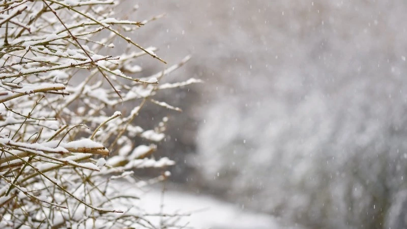 Сильные осадки выпадут на Курильских островах 18 марта