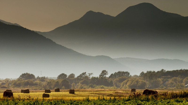В Южно-Сахалинске построят логистический комплекс класса А в рамках ТОР