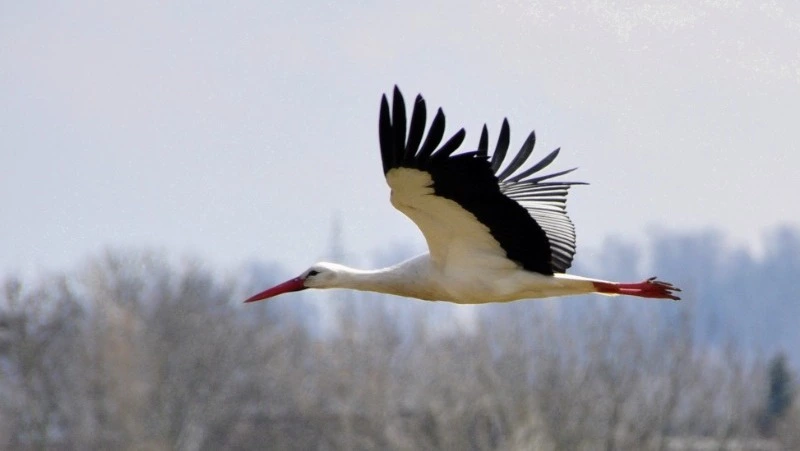 Народные приметы на 17 апреля 2024: что нельзя делать в этот день