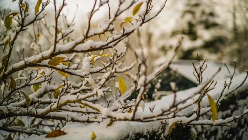 Церковный праздник 30 марта 2025: что нельзя делать в этот день, приметы