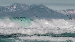 «Вот это волны!»: изумрудный океан на Итурупе восхитил своей красотой. Видео