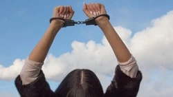 На Сахалине пьяная женщина наврала полиции, что ее избил сосед