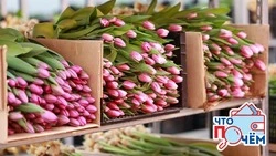 Сколько стоят цветы к праздникам на Сахалине: обзор цен 