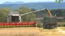 Больше, чем в прошлом году