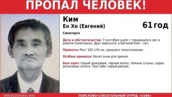 Пожилой сахалинец пропал во время сбора ягод в лесу возле Синегорска