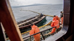 Рыбопромышленников Сахалина насторожило соглашение Японии с РФ о добыче лосося