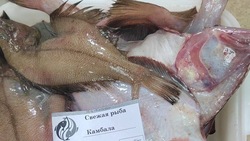 Рыбу по низким ценам привезли в село Пензенское на Сахалине 