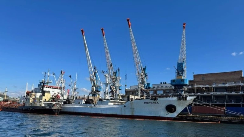 За неделю с Сахалина и из Приморья отправили на экспорт 20 тысяч тонн рыбы