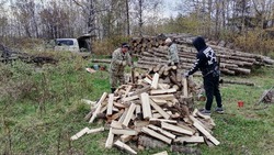 Семьям мобилизованных в Смирныховском районе бесплатно привезли дрова