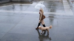 Синоптики предсказали небольшой дождь и пасмурную погоду в Сахалинской области 22 мая 