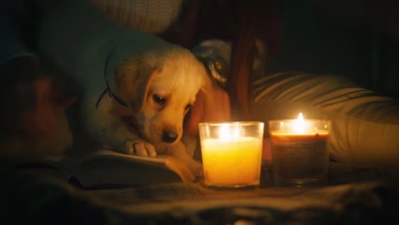 Село, планировочный район и часть Южно-Сахалинска останутся без света 9 декабря