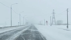 На Сахалине отменили восемь междугородних автобусных рейсов из-за метели