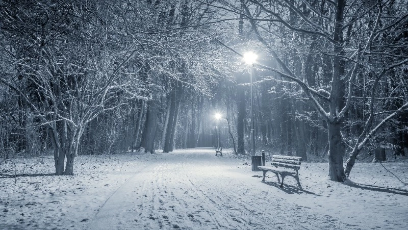 Ночью небольшой снег, а днем до +5 градусов ожидает Сахалин и Курилы 25 ноября