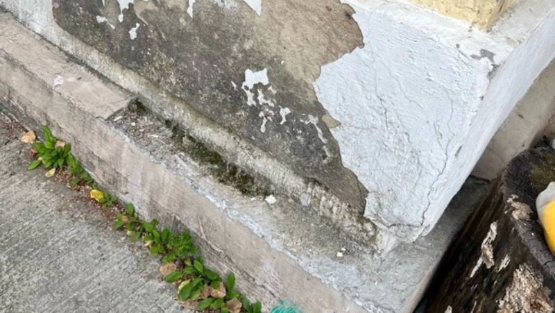 Жительница Южно-Сахалинска борется с плесенью в доме после капремонта