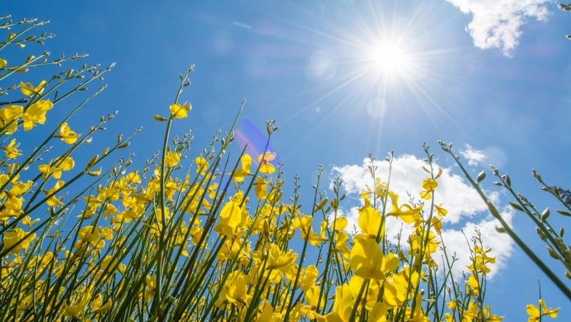 Церковный праздник 13 мая 2025: что нельзя делать в этот день, приметы