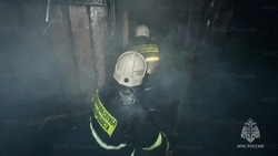 Пожарные эвакуировали семью свиней из горящего здания в Александровске-Сахалинском