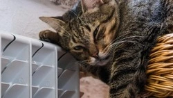 Детсады, поликлиника и часть Южно-Сахалинска остались без тепла и горячей воды 14 ноября