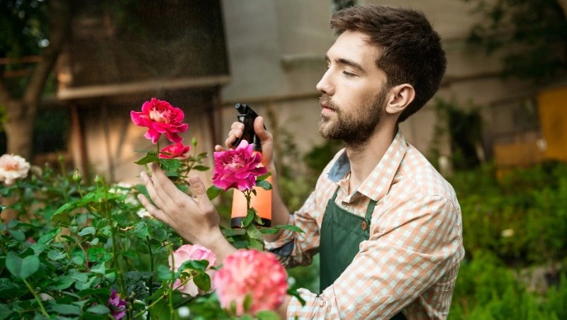 Топ-10 шикарных и абсолютно неприхотливых растений для дачи: рай для ленивого садовода