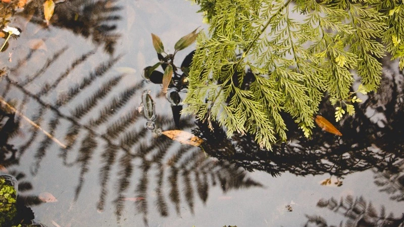 Народные приметы на 30 марта — что можно и нельзя делать в этот день