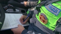 Почти 50 бесправников поймали на дорогах Сахалинской области на выходных 