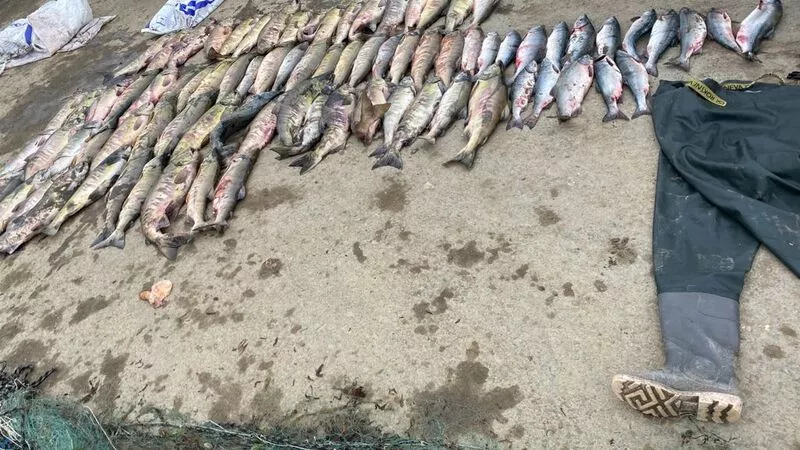 Браконьера с грузом красной рыбы поймали на юге Сахалина