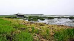 На Дагинских источниках появятся места для палаток с канализацией и розетками