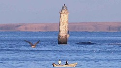 В Японии хотят измерить точное расстояние до Южных Курил