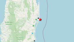 Землетрясение магнитудой 2,5 зарегистрировали на севере Сахалина ночью 4 января