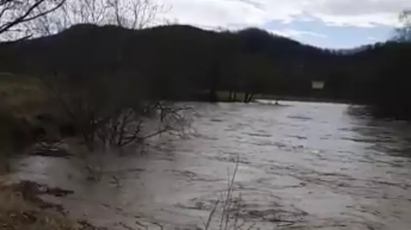 «Собака в воде стоит». Огороды затопило в Углегорском районе
